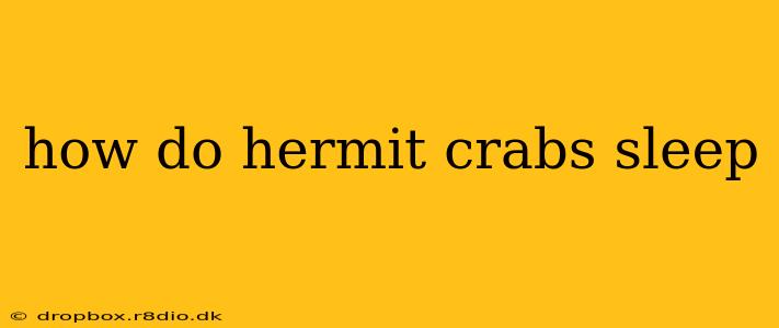 how do hermit crabs sleep