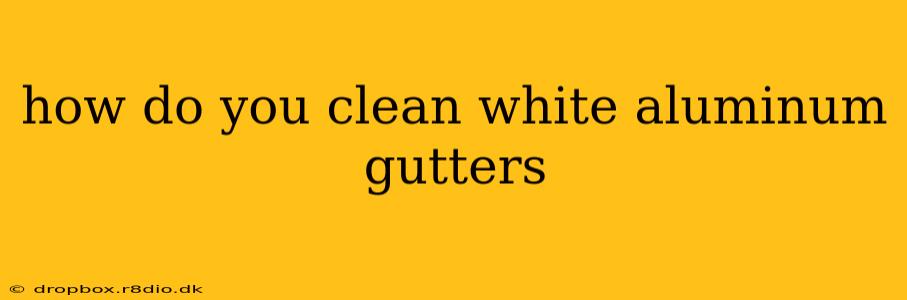 how do you clean white aluminum gutters