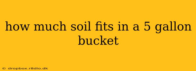 how much soil fits in a 5 gallon bucket