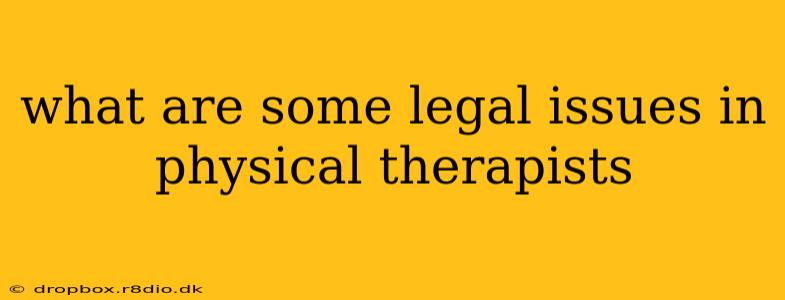 what are some legal issues in physical therapists