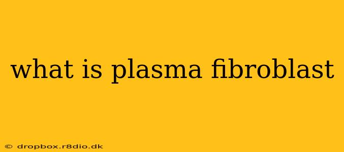 what is plasma fibroblast