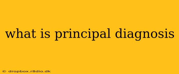 what is principal diagnosis