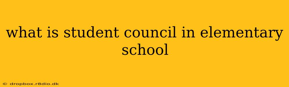 what is student council in elementary school